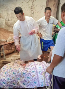 茅坝动物剖腹产手术