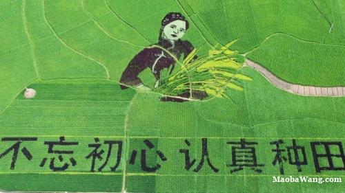 仁怀茅坝镇千亩田园画卷如诗如画美到令人窒息