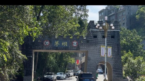 仁怀茅坝镇水稻机械化育苗育出丰产丰收好苗头